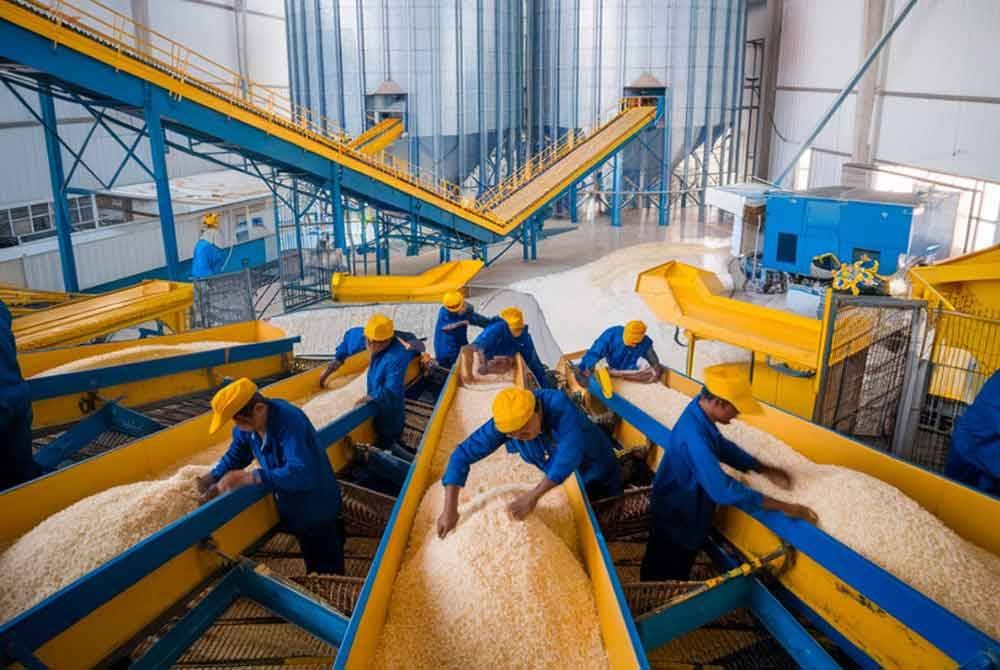 Kilang padi Beras Darul Naim dijangka beroperasi tahun ini. Foto Ilustrasi AI.
