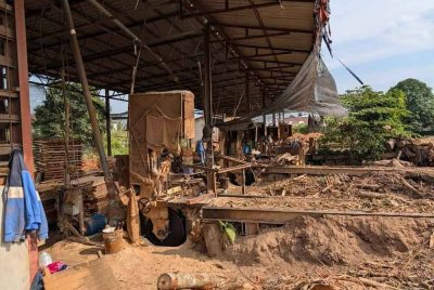 PGA menyerbu empat buah kilang dan merampas kayu balak tanpa cukai termasuk yang siap diproses secara haram mencecah nilaian RM16.32 juta di Pasir Mas pada Rabu. - Foto: PGA