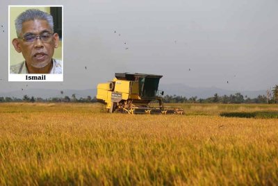 Kerajaan menyelaraskan harga lantai belian padi kepada RM1,500 per tan metrik berkuat kuasa Ahad ini.