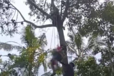 Jasad Fauzi dibawa turun dengan menggunakan tali. Foto Agensi