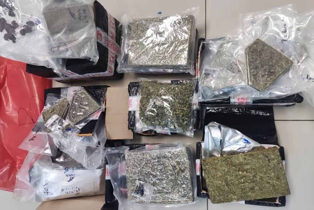 Batalion 8 PGA Pengkalan Chepa menggagalkan cubaan menyeludup ketulan ganja mampat seberat 16.177 kg bernilai RM50,184.70
selepas menahan seorang lelaki dalam serbuan di pangkalan haram Hasan Merah, Rantau Panjang pada Ahad. Foto PGA