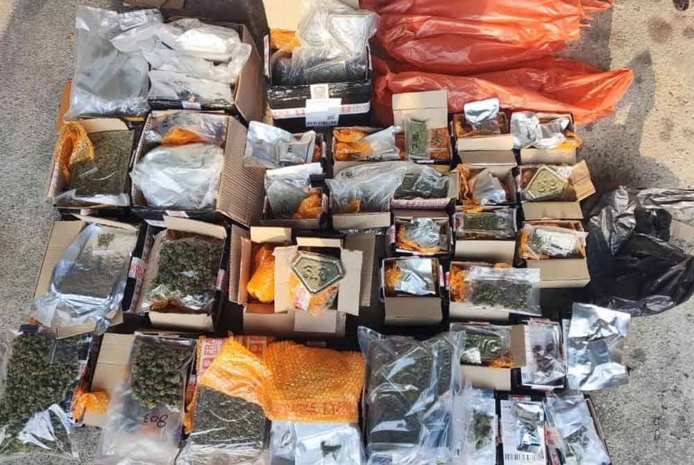 Pemeriksaan ke atas bungkusan dibawa suspek menjumpai ketulan mampat ganja. Foto PGA