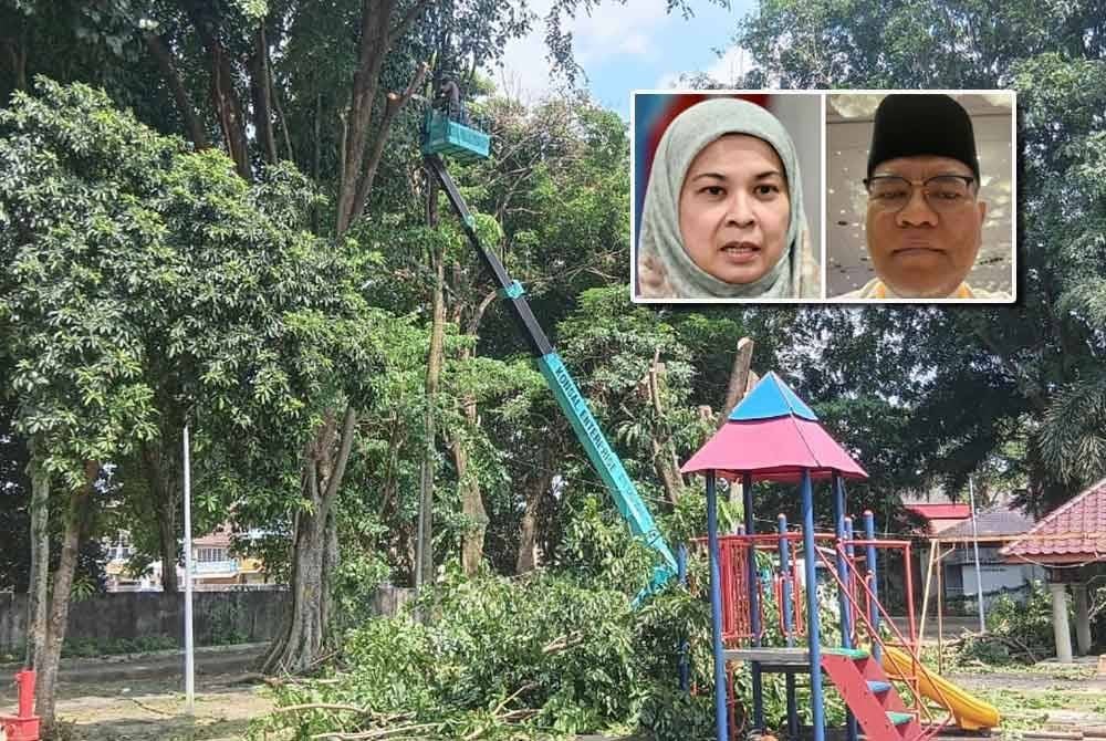 Pokok yang ditebang jenis Angsana itu mendatangkan risiko kepada pelajar sekolah berdekatan walaupun ia diselenggara hampir setiap tahun mengikut skop kerja pangkasan ditetapkan. Gambar kecil: Norfiza dan Azmi