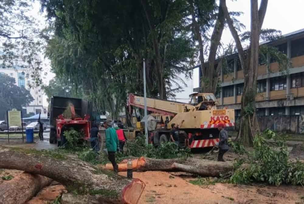 Isu pokok menjadi perhatian utama ibu bapa, terutamanya ketika musim hujan, kerana ia boleh mengancam keselamatan pelajar.