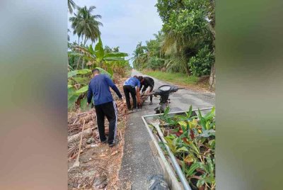 Penduduk memilih anak pokok yang sesuai untuk ditanam di sepanjang laluan masuk ke Kampung Sungai Haji Mohammad, Bagan Datuk pada Selasa.