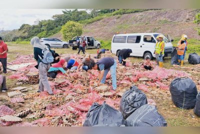 Orang ramai tidak melepaskan peluang mengutip telur yang tercampak selepas lori yang membawa barangan itu terbalik dalam kejadian di KM293.8 LPT2 di Kemaman pada Rabu.