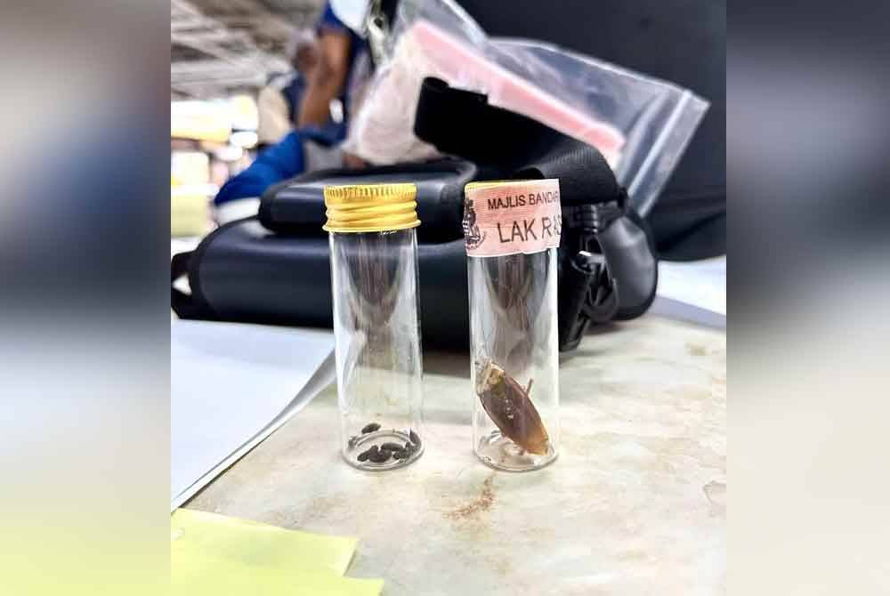 Najis tikus dan lipas turut ditemui. Foto FB MBPP