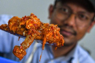 Ibnu Sina menunjukkan adunan bahan dalam 'Sambal Budu Durian' yang menjadi kegemaran pelanggan ketika ditemui di kediamannya dekat Kampung Bunut Payong. Foto Bernama