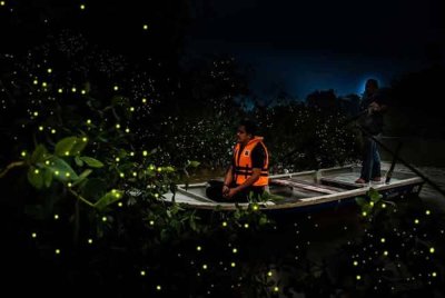 Pengunjung berpeluang menaiki sampan kecil untuk menyaksikan keindahan ini dari jarak dekat, menjadikannya sebagai satu pengalaman baharu. Foto: MPKS