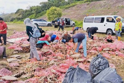Orang ramai tidak melepaskan peluang mengutip telur yang tercampak selepas lori yang membawa telur itu terbalik di Kilometer 293.8 Lebuhraya Pantai Timur 2 (LPT2) selepas susur keluar Plaza Tol Chukai, Kemaman.