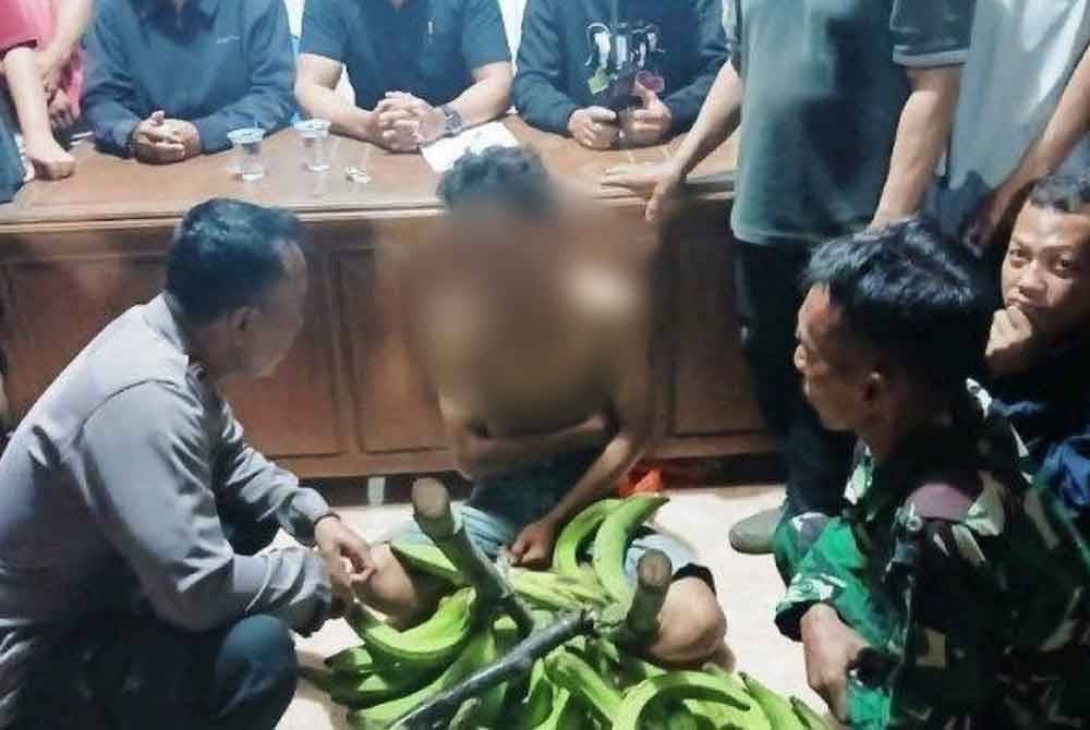 Seorang abang mencuri empat tandan pisang demi untuk menyara adiknya. Foto Sumber daripada Tribunnews