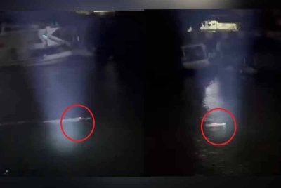 Tangkap layar kelibat buaya berenang dipercayai di jambatan Marang