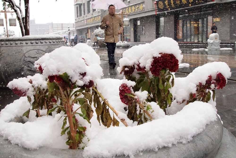 Pihak pengurusan Perkampungan Salji Chengdu menggunakan salji tiruan dan memuat naik gambar pemandangan tersebut di media sosial. - Agensi