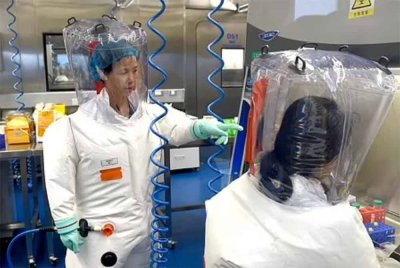 Pakar Virologi, Shi Zhengli menyifatkan penemuan virus itu boleh memberi ancaman kepada kesihatan manusia secara global.