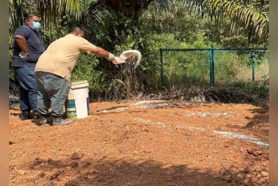 Proses nyah kuman dijalankan di kawasan pembuangan sisa babi Kampung Baru Site A, Tanah Merah, Port Dickson.