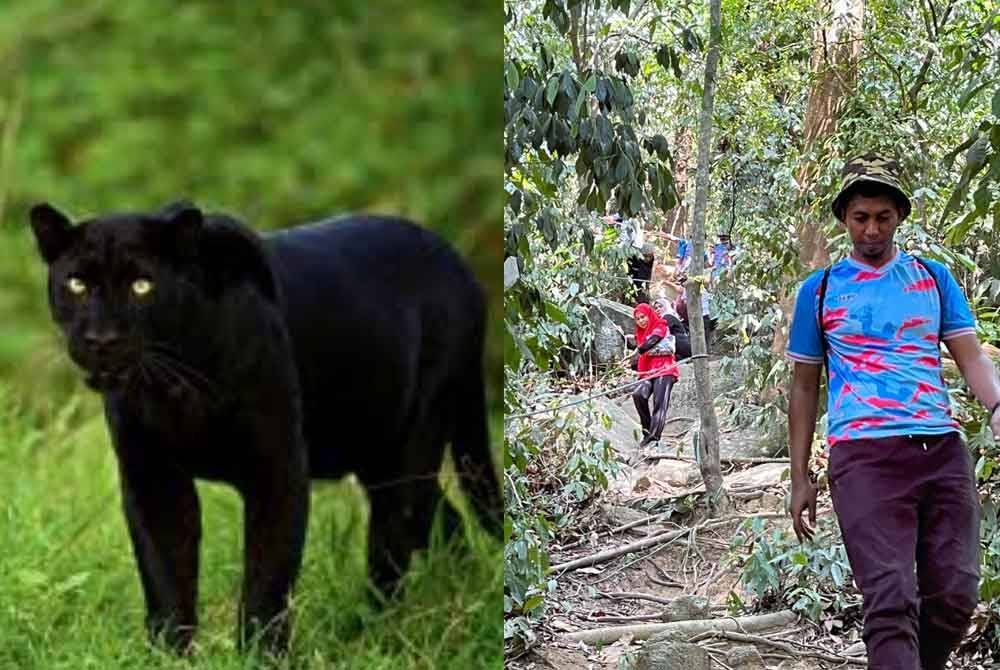 Orang ramai dilarang melakukan aktiviti pendakian buat sementara waktu di Bukit Gunong. Foto Pengerusi JPKKP