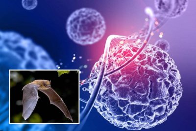 Varian baharu itu dikatakan menjangkiti manusia dengan cara sama seperti Covid-19.