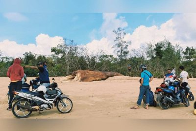 Orang ramai berada di lokasi untuk melihat sendiri bangkai paus yang ditemui terdampar di Pantai Sungai Miang di sini.