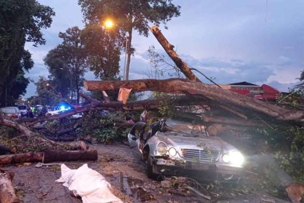 Kereta dinaiki dua beranak ini dihempap pokok yang tumbang dalam kejadian di Jalan Batu 3, Kampung Bukit Kuda di sini pada Isnin.