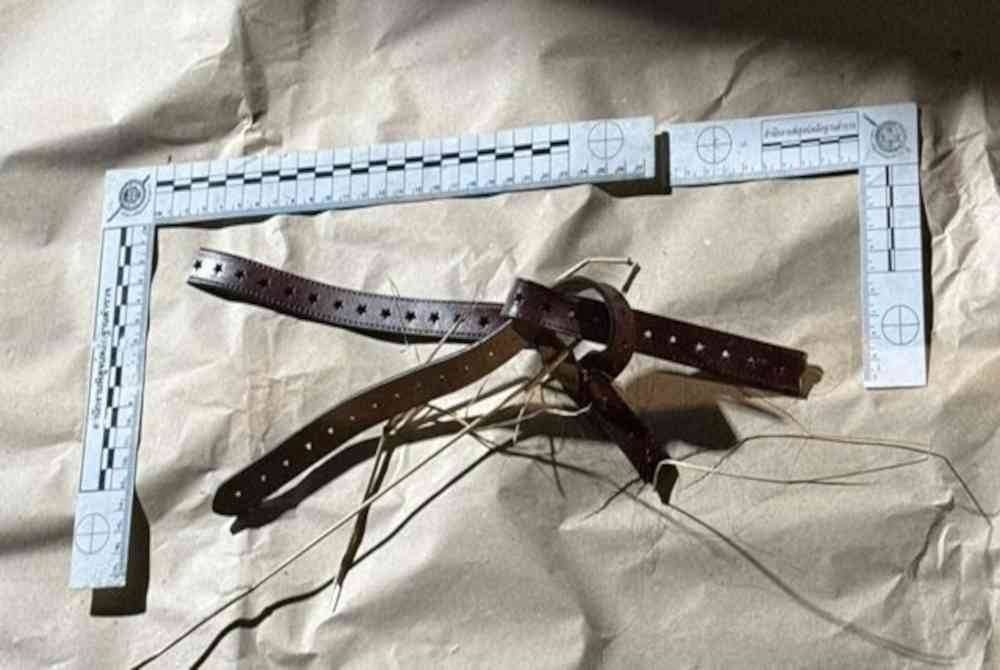 Alat yang digunakan untuk membunuh mangsa.