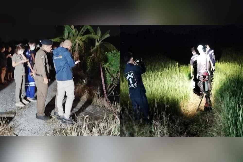Wanita disangka transgender maut dicekik dalam kawasan sawah padi. Kredit Thaiger News.