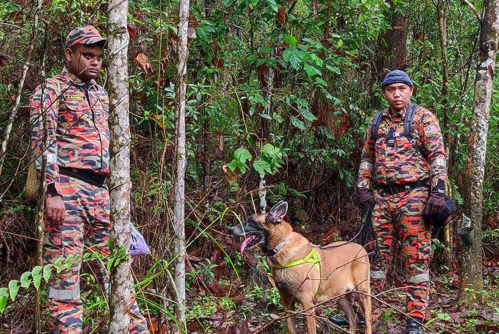 Khidmat K9 digunakan oleh bomba untuk mencari Hud Aryan.