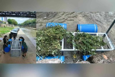 Jabatan Perhilitan memasang satu lagi perangkap buaya di sungai sekitar Seputeh, Kuala Lumpur pada Selasa.