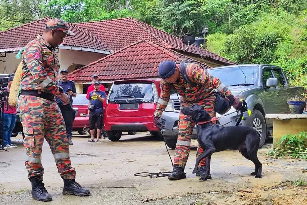 Pencarian Hud Aryan menggunakan khidmat anjing pengesan