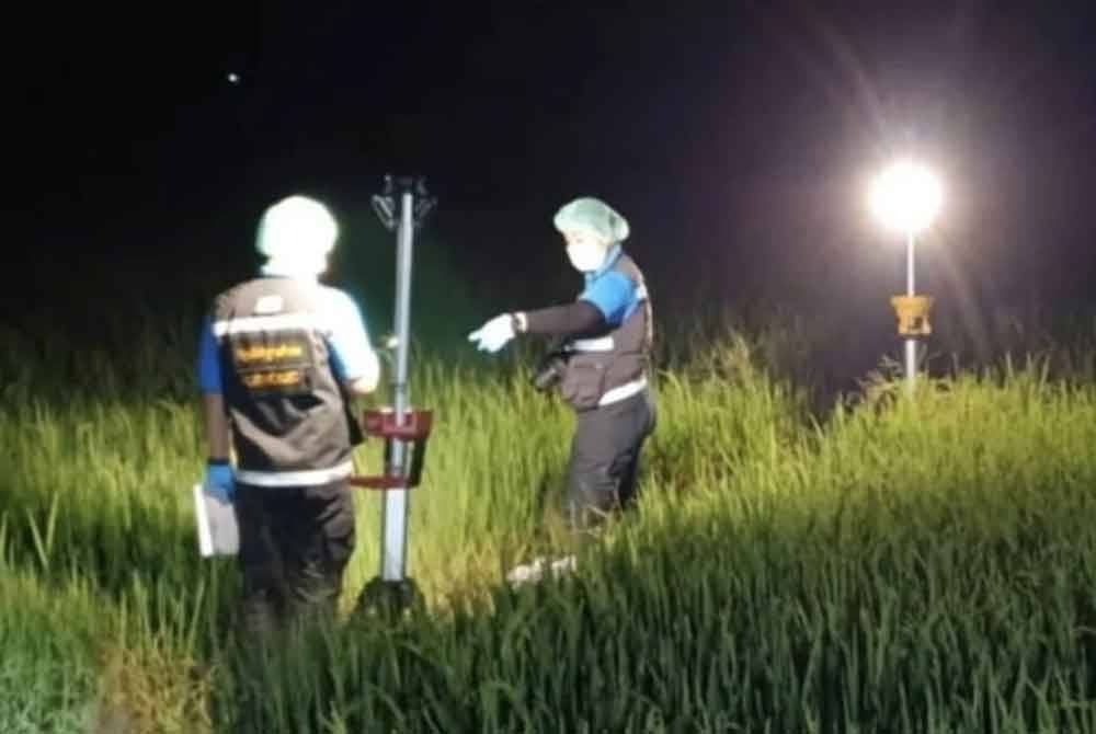 Kawasan sawah padi lokasi Noi ditemui selepas dibunuh lelaki yang merompak barang kemasnya. FOTO Agensi.