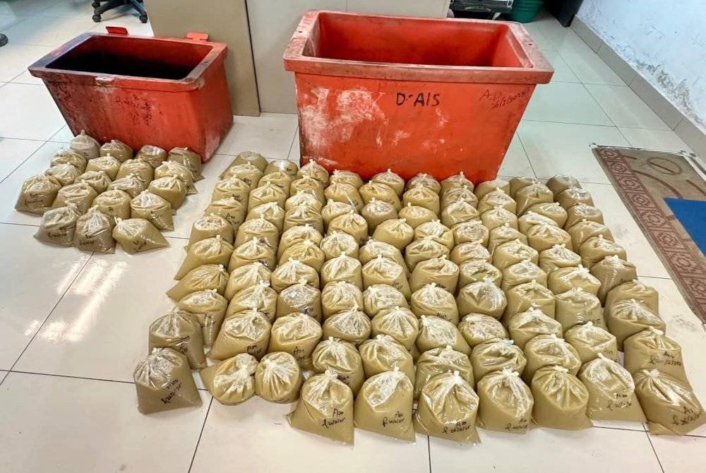 Hasil pemeriksaan di lokasi telah menjumpai 119 bungkus air ketum yang sudah diproses.