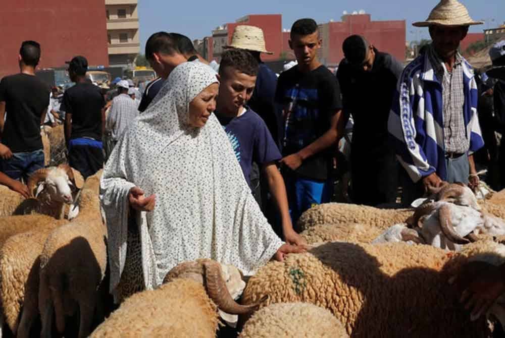 Kekurangan ternakan kambing biri-biri menyebabkan lonjakan harga daging haiwan itu. - Foto Agensi