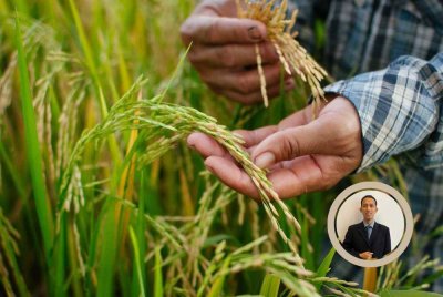 JIKA berlaku monopoli, penindasan atau spekulasi harga yang menyebabkan rakyat terhimpit, pemerintah mempunyai tanggungjawab untuk campur tangan bagi memastikan keadilan dalam pasaran. -Foto: CANVA/ Gambar kecil: DR MOHD SHAFIQ SAHIMI