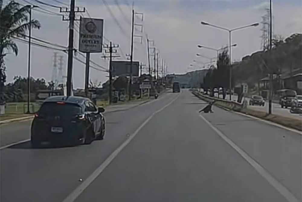 Sebuah kereta dan motosikal yang dinaiki warga asing terbabit dalam kemalangan di Phuket baru-baru ini. - Foto: Agensi