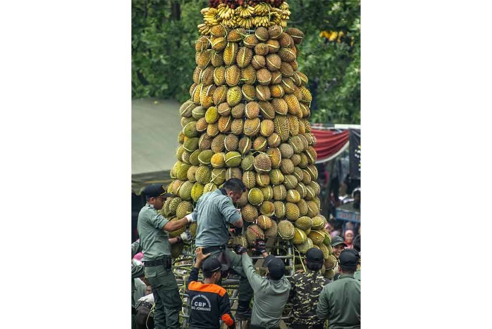 Anggota tentera Indonesia bersedia untuk mengagihkan durian, yang dianggap sebagai 'raja buah' oleh penggemarnya, semasa festival berkenaan yang diadakan di Jombang, Jawa Timur pada 3 Mac 2019.