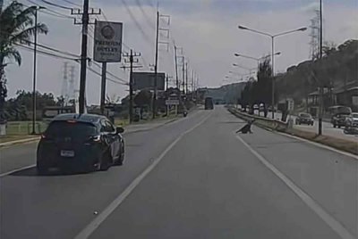 Sebuah kereta dan motosikal yang dinaiki warga asing terbabit dalam kemalangan di Phuket baru-baru ini. - Foto: Agensi