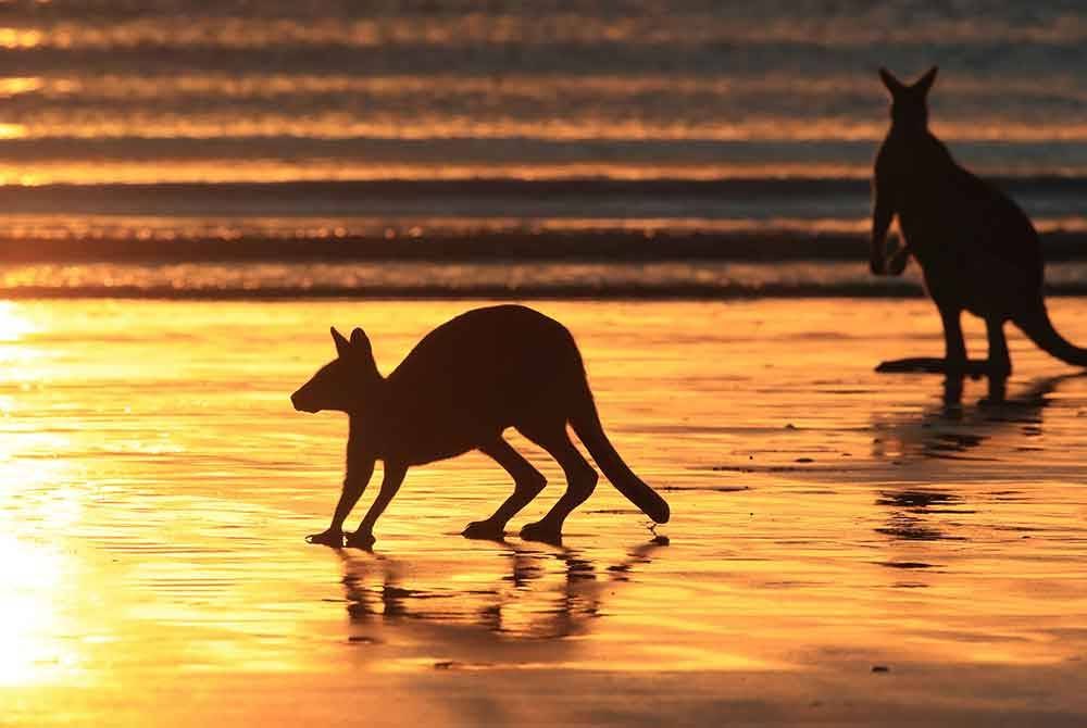 Beberapa kawasan di Australia dijangka mengalami dua pertiga tahun ini dengan suhu melebihi 35 darjah Celsius. Foto hiasan 123RF