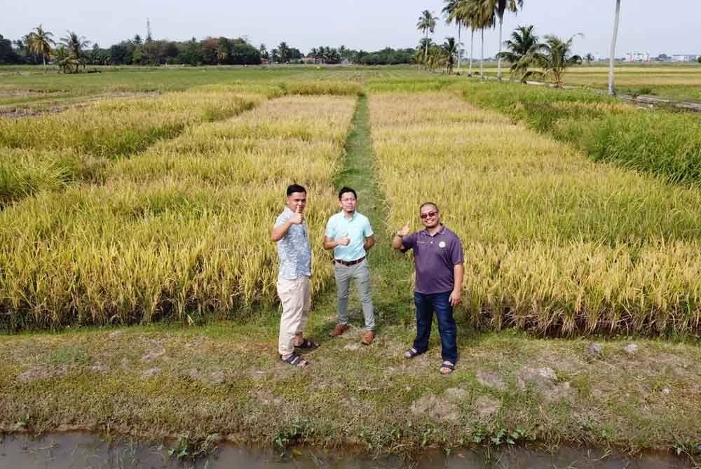 Antara benih yang dihantar termasuk varieti tradisional seperti padi, terung, dan kacang panjang.