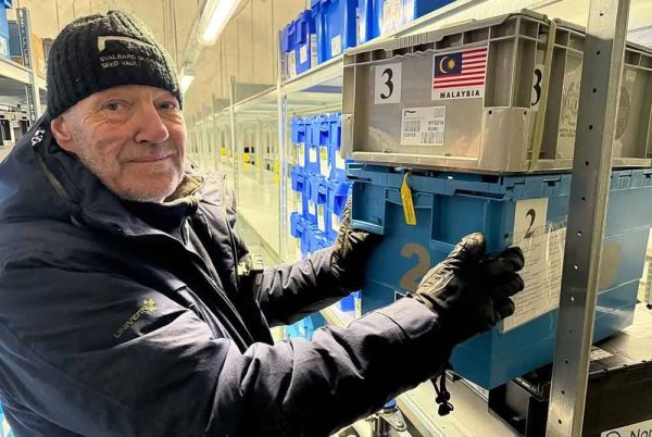 Pada 26 Februari lalu, pintu SGSV dibuka buat kali pertama pada 2025 untuk menerima deposit benih dari Malaysia serta 20 negara lain. Foto TikTok MARDI