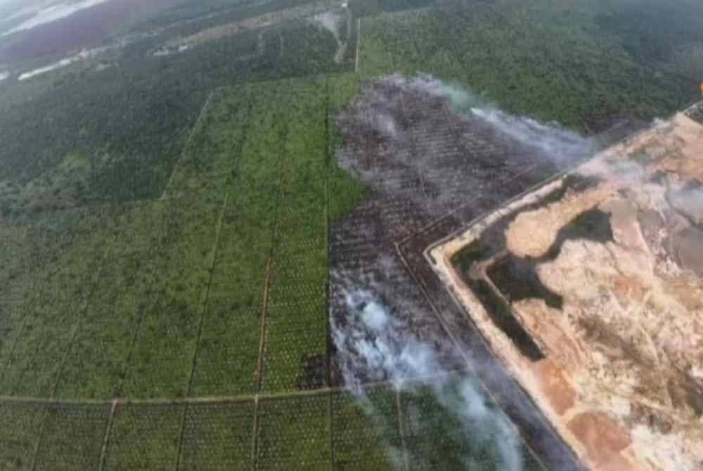 Gambaran udara kawasan ladang kelapa yang terbakar.
