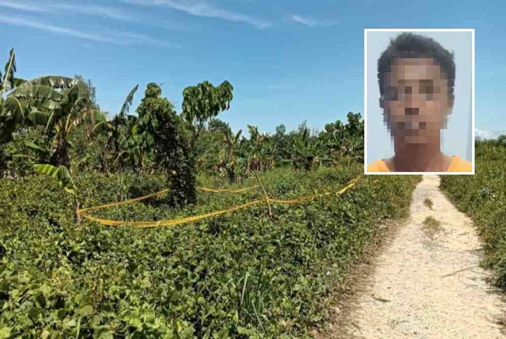 Lokasi mangsa ditemukan mati di kawasan perumahan setinggan Bukit Batu 2½, Sandakan. Gambar kecil: Suspek lelaki yang ditahan.