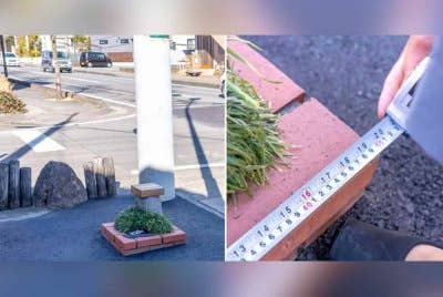 Pihak majlis mengupah juruukur profesional untuk memastikan taman kecil mereka memenuhi semua syarat GWR. - Agensi