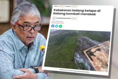Laporan Sinar Harian berhubung kejadian kebakaran ladang kelapa di kawasan belakang MCKIP dipercayai punca pencemaran udara di kawasan Balok Baru dan sekitarnya.