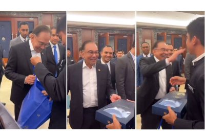 Tangkap layar hantaran dimuat naik pengguna TikTok pada Selasa. Kredit: TikTok @febbyfeb_98