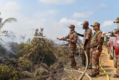 Anggota bomba melakukan kerja-kerja pemadaman di kawasan ladang kelapa yang masih terbakar.