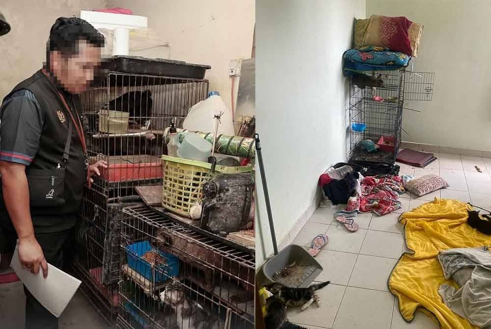 Keadaan unit kuarters ketika pemantauan dilaksanakan pasukan penguatkuasa BPH.