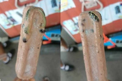 Seekor ular ditemui dalam ais krim. - Agensi