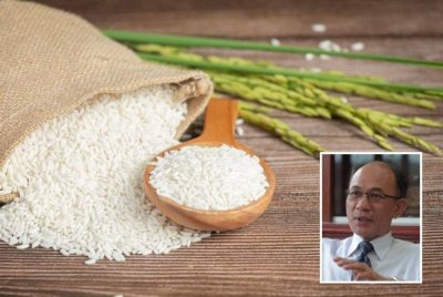 Harga beras putih tempatan perlu diapungkan sebagai strategi utama menyelesaikan segera masalah kekurangan beras putih tempatan di pasaran yang masih berlarutan sebelum menstruktur semula Bernas. (Gambar kecil: Mad Nasir)