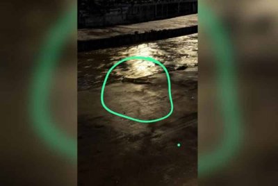 Kelibat seekor buaya dilihat di Sungai Klang berhampiran bangunan Malayan Mansion, pada malam Sabtu. Foto tular