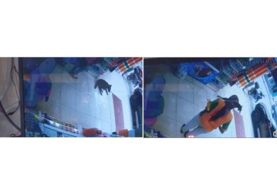 Tangkap layar CCTV menunjukkan seekor anjing berlari selepas disimbah dengan air panas oleh kakitangan kedai serbaneka di Ipoh. Foto ihsan pembaca