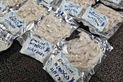 Dadah di dalam ‘plastic silica gel’ yang dicampur bersama bahan makanan kering dan diikrarkan sebagai ‘dry food’.